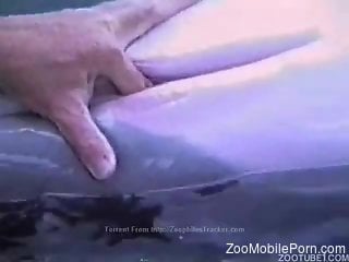 Dude fingering a sexy dolphin's delicious pussy