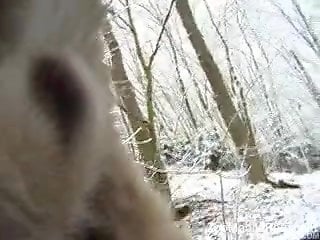 Dude with a beard licking a dog's dick outdoors