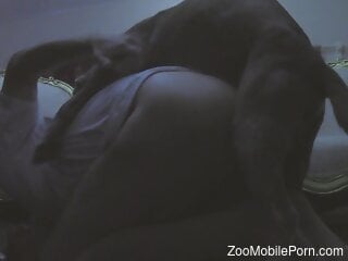 Big booty babe getting pounded by a sexy doggo